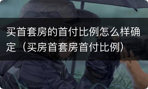 买首套房的首付比例怎么样确定（买房首套房首付比例）