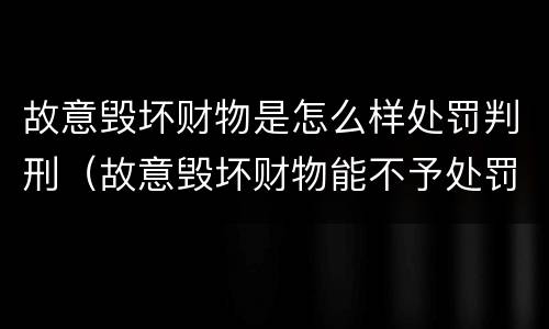 故意毁坏财物是怎么样处罚判刑（故意毁坏财物能不予处罚吗）