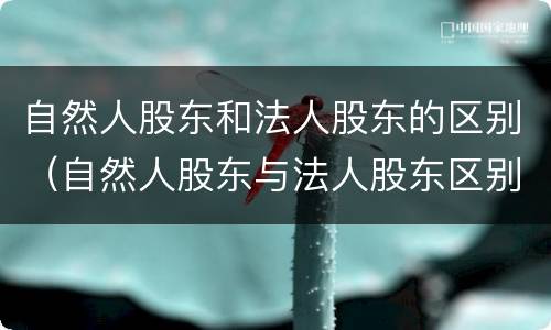 自然人股东和法人股东的区别（自然人股东与法人股东区别）