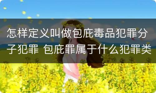 怎样定义叫做包庇毒品犯罪分子犯罪 包庇罪属于什么犯罪类型