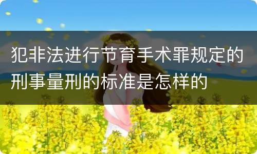 犯非法进行节育手术罪规定的刑事量刑的标准是怎样的