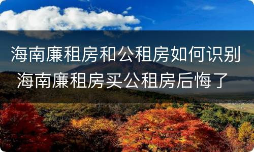 海南廉租房和公租房如何识别 海南廉租房买公租房后悔了