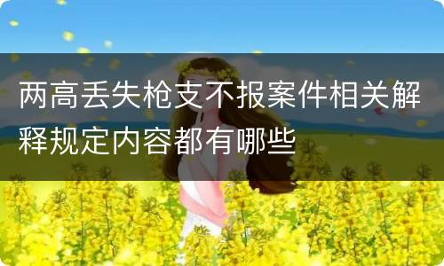 两高丢失枪支不报案件相关解释规定内容都有哪些