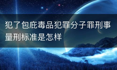 犯了包庇毒品犯罪分子罪刑事量刑标准是怎样