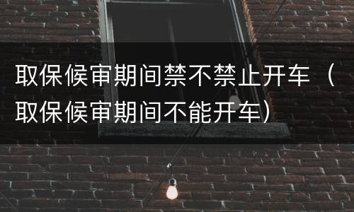 取保候审期间禁不禁止开车（取保候审期间不能开车）