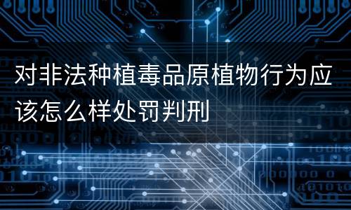 对非法种植毒品原植物行为应该怎么样处罚判刑