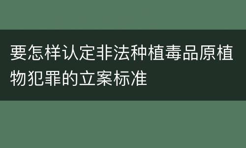 要怎样认定非法种植毒品原植物犯罪的立案标准