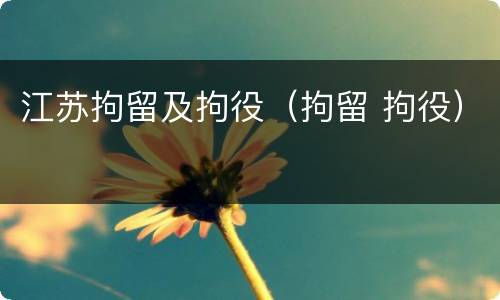 江苏拘留及拘役（拘留 拘役）