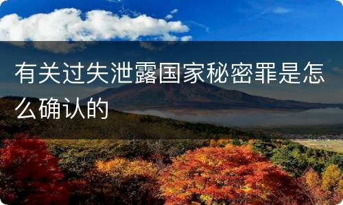 有关过失泄露国家秘密罪是怎么确认的