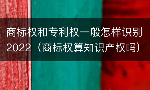 商标权和专利权一般怎样识别2022（商标权算知识产权吗）