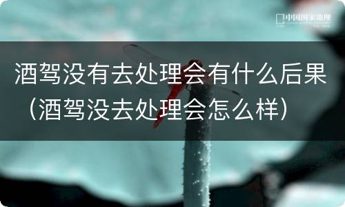 酒驾没有去处理会有什么后果（酒驾没去处理会怎么样）