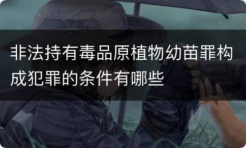 非法持有毒品原植物幼苗罪构成犯罪的条件有哪些
