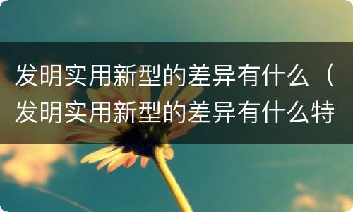 发明实用新型的差异有什么（发明实用新型的差异有什么特点）