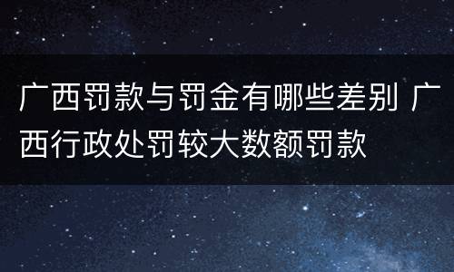 广西罚款与罚金有哪些差别 广西行政处罚较大数额罚款