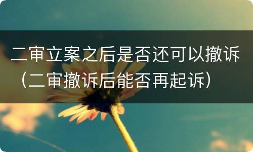 二审立案之后是否还可以撤诉（二审撤诉后能否再起诉）