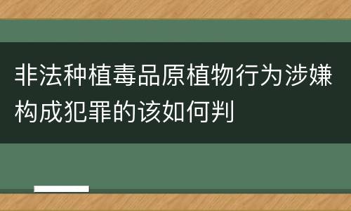 非法种植毒品原植物行为涉嫌构成犯罪的该如何判