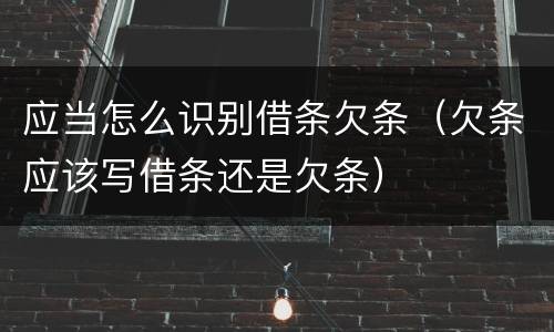 应当怎么识别借条欠条（欠条应该写借条还是欠条）