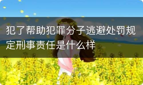 犯了帮助犯罪分子逃避处罚规定刑事责任是什么样