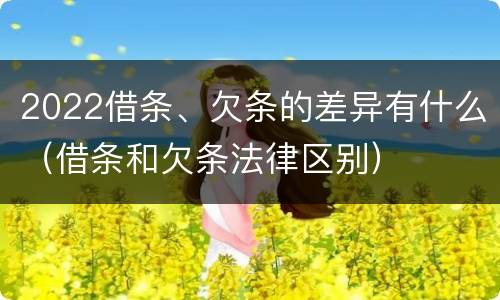 2022借条、欠条的差异有什么（借条和欠条法律区别）