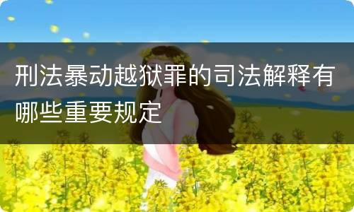 刑法暴动越狱罪的司法解释有哪些重要规定