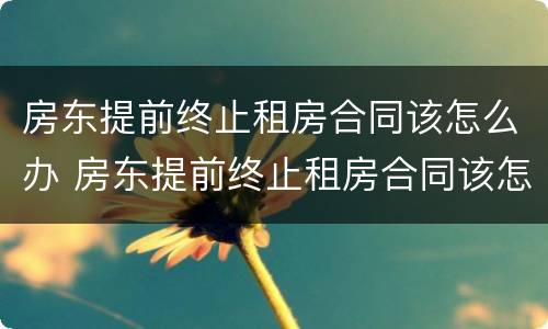 房东提前终止租房合同该怎么办 房东提前终止租房合同该怎么办呢