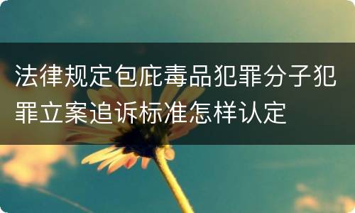 法律规定包庇毒品犯罪分子犯罪立案追诉标准怎样认定