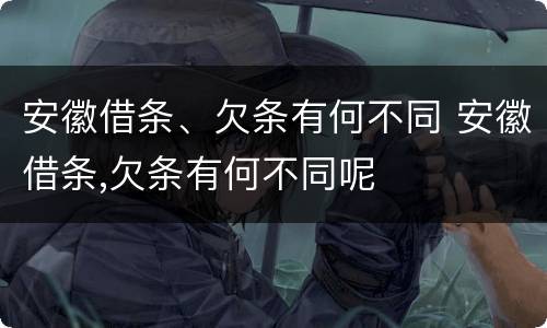 安徽借条、欠条有何不同 安徽借条,欠条有何不同呢