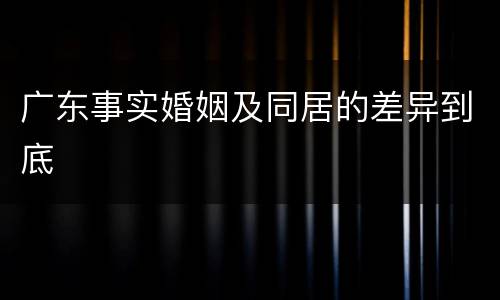广东事实婚姻及同居的差异到底