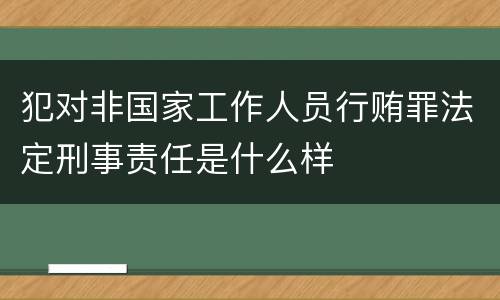 犯对非国家工作人员行贿罪法定刑事责任是什么样