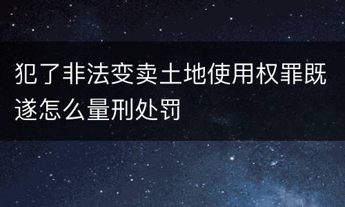 犯了非法变卖土地使用权罪既遂怎么量刑处罚
