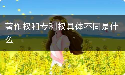 著作权和专利权具体不同是什么