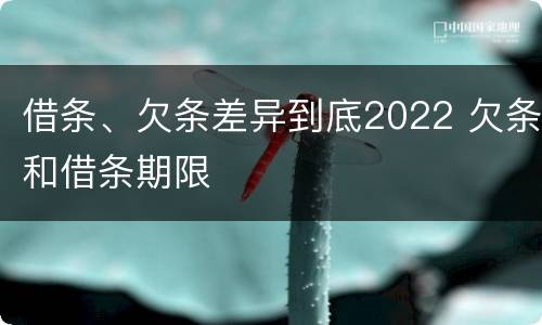 借条、欠条差异到底2022 欠条和借条期限
