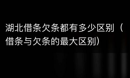 湖北借条欠条都有多少区别（借条与欠条的最大区别）