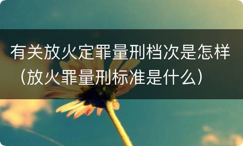 有关放火定罪量刑档次是怎样（放火罪量刑标准是什么）