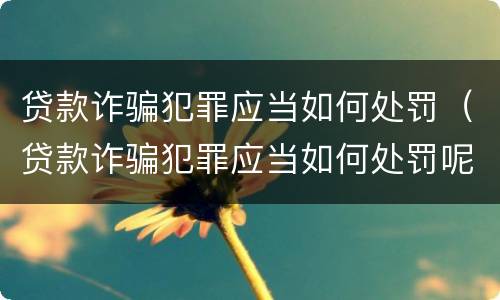 贷款诈骗犯罪应当如何处罚（贷款诈骗犯罪应当如何处罚呢）