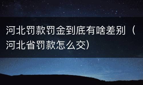 河北罚款罚金到底有啥差别（河北省罚款怎么交）