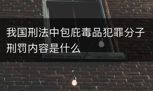我国刑法中包庇毒品犯罪分子刑罚内容是什么