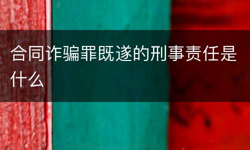 合同诈骗罪既遂的刑事责任是什么