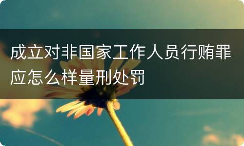 成立对非国家工作人员行贿罪应怎么样量刑处罚