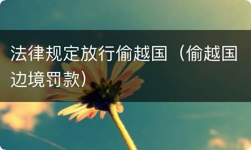 法律规定放行偷越国（偷越国边境罚款）