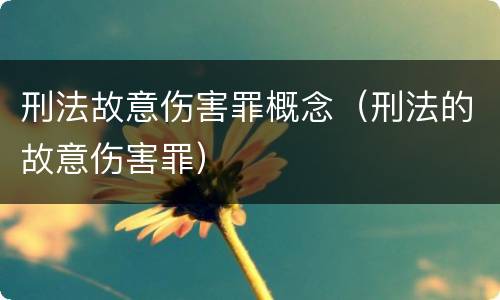 刑法故意伤害罪概念（刑法的故意伤害罪）