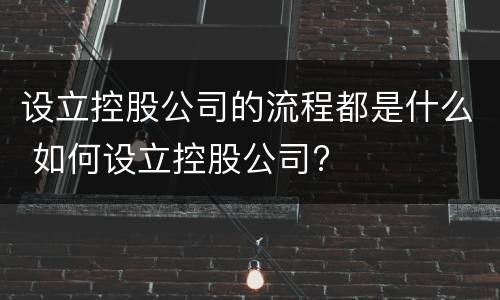 设立控股公司的流程都是什么 如何设立控股公司?