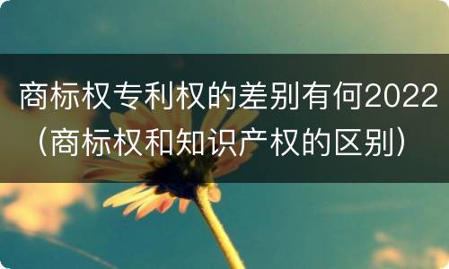 商标权专利权的差别有何2022（商标权和知识产权的区别）