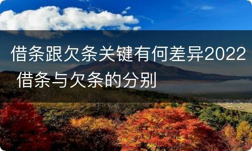 借条跟欠条关键有何差异2022 借条与欠条的分别