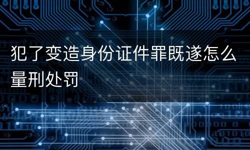 犯了变造身份证件罪既遂怎么量刑处罚