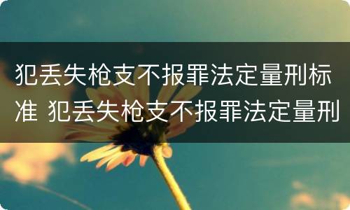 犯丢失枪支不报罪法定量刑标准 犯丢失枪支不报罪法定量刑标准