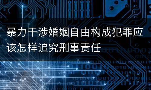 暴力干涉婚姻自由构成犯罪应该怎样追究刑事责任