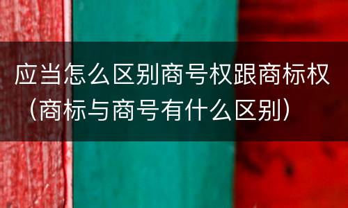 应当怎么区别商号权跟商标权（商标与商号有什么区别）