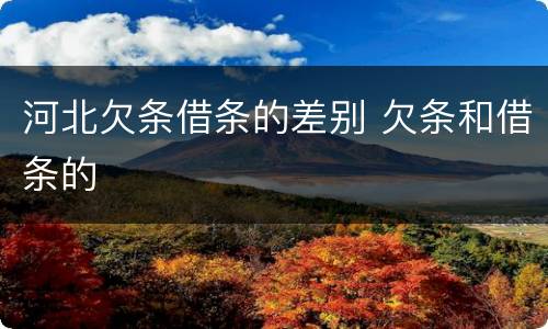 河北欠条借条的差别 欠条和借条的