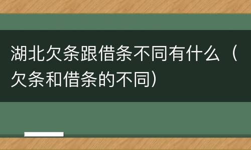 湖北欠条跟借条不同有什么（欠条和借条的不同）